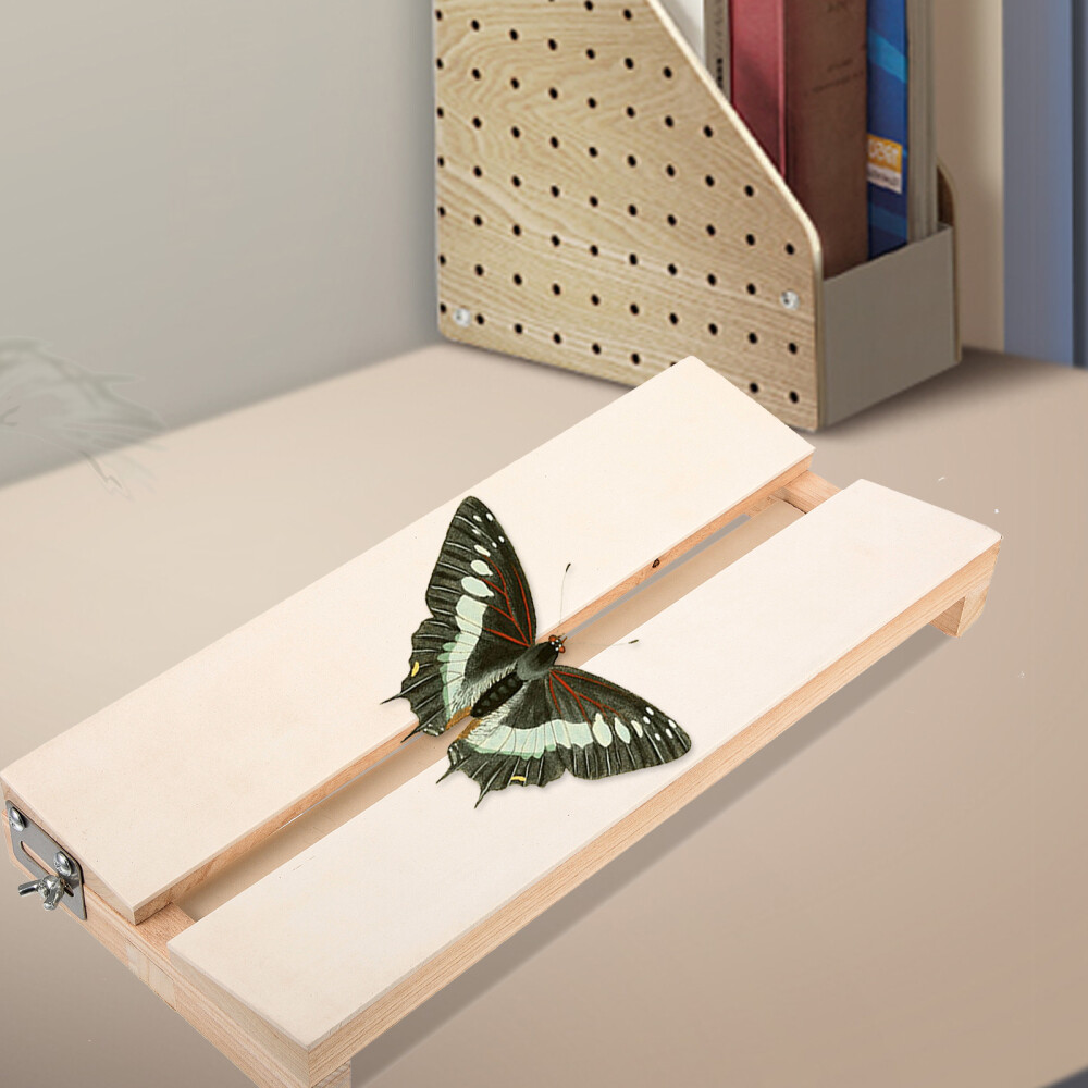 Insect Pinning Board Specimen Display Board Adjustable Labs Board for Education