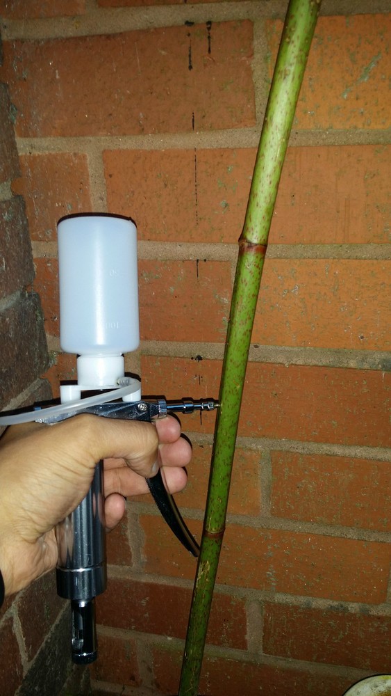 knotweed injector, 2025 model with 9 needles.