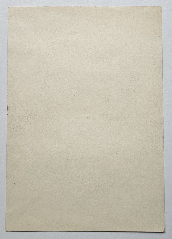 Female Study Portrait - drawing by Michael Murphy, 1960
