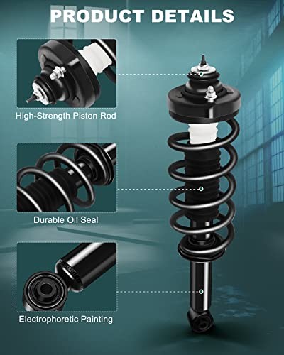 Strut Spring Assembly Rear Struts Shock Absorber Fit for 2*Rear Complete Strut
