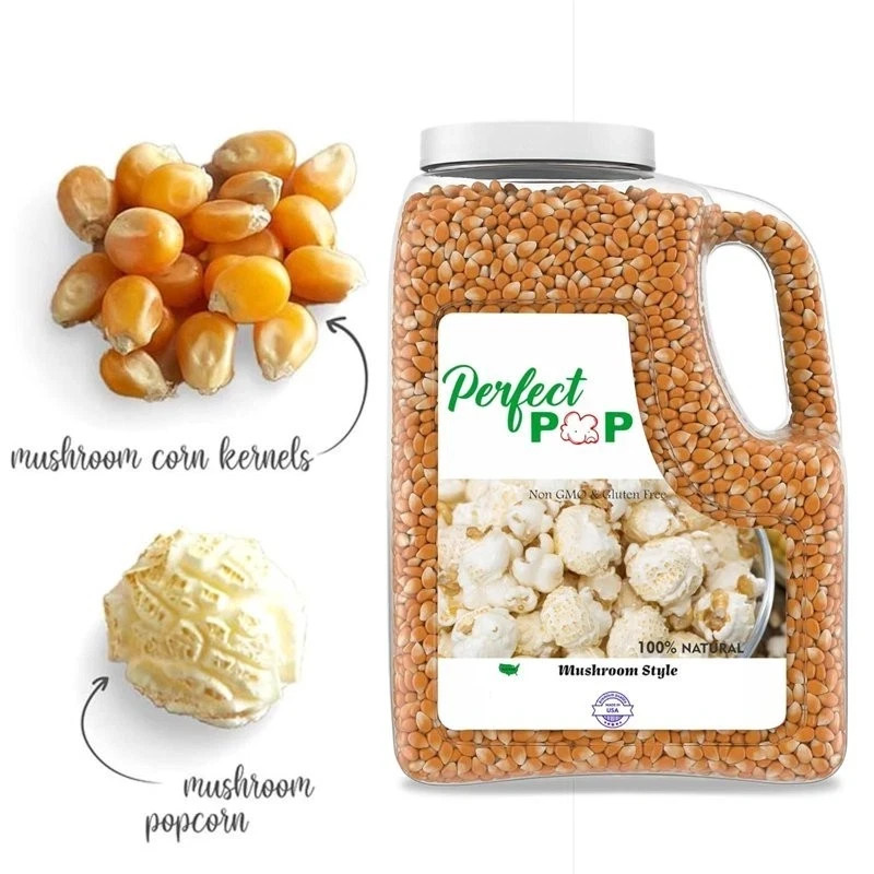 8 lb Extra Large Mushroom Popcorn Kernels