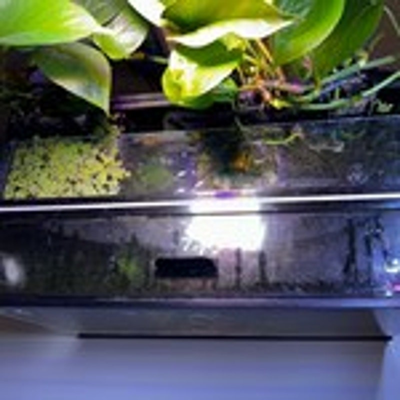 Aquarium Flat Surface Light Risers Single Level Notched Base for Tanks with Lids