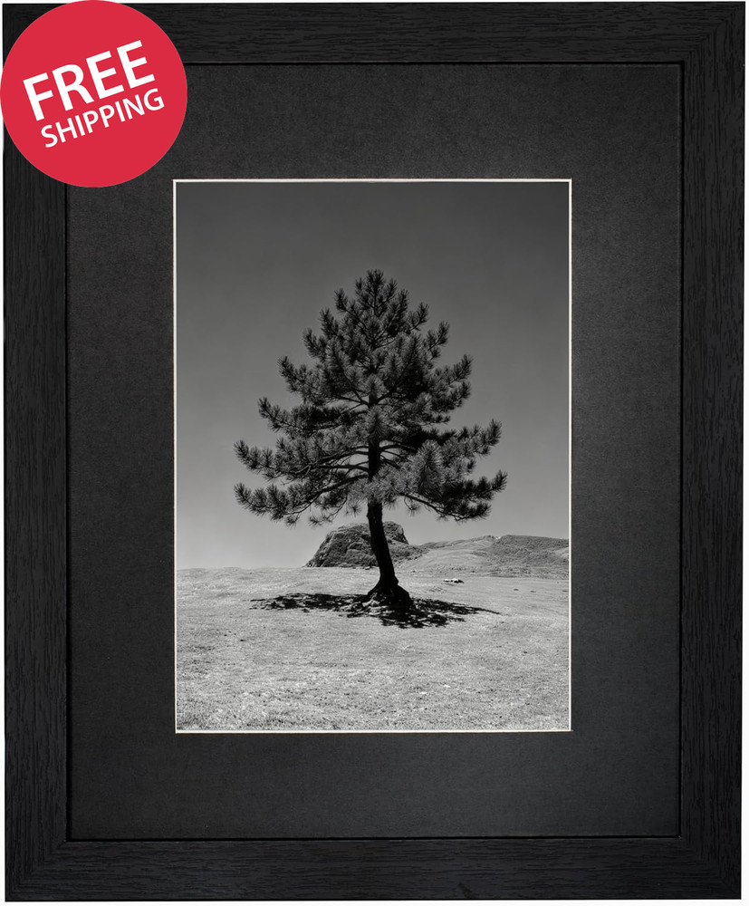 8X10 Picture Frame, Solid Wood Picture Frames with Plexiglass, Display 5X7 with