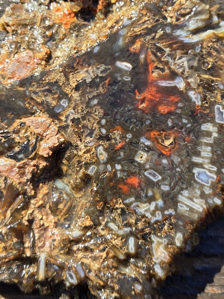 Turkish Agate Slabs Slices From One Stone Matching Lapidary Unique