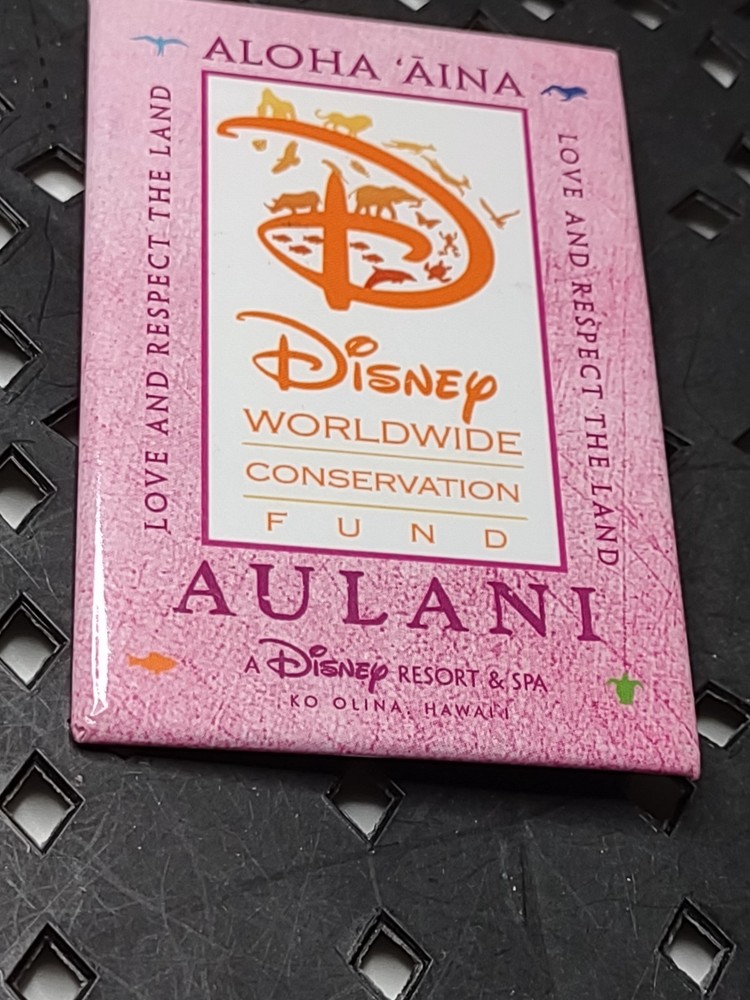 Disney Worldwide Conservation Fund Pin