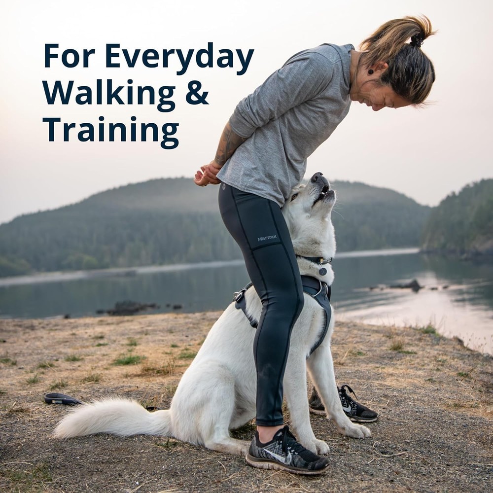 Frontier Dog Harness, Reflective Padded Everyday Harness