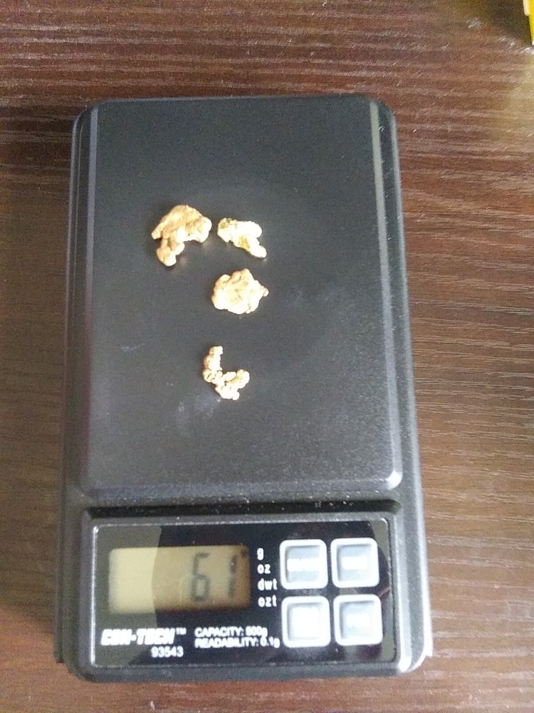 6.0g Natural Gold Nuggets - 4 Nuggets