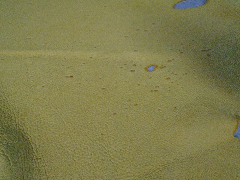 Top Grain Deer Leather #0018317 Row 157