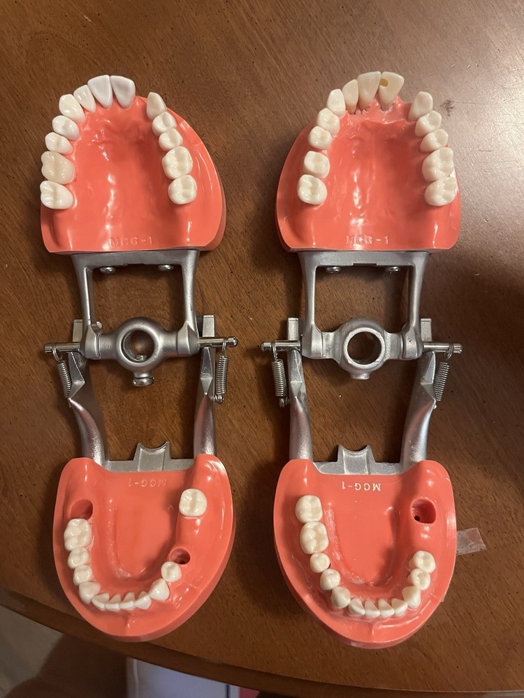 Kilgore Mcg 1 Fixed Dentoform x2