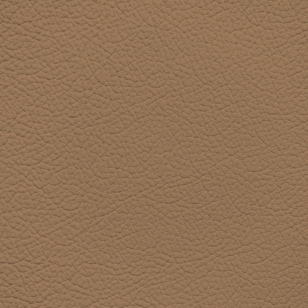 Ford/Lincoln/Mercury Canyon Leather Dye