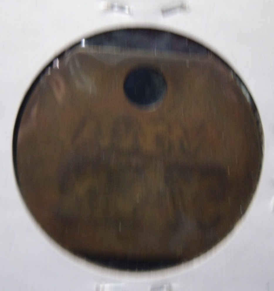 VEGA TOOL TAG # 57 - 262