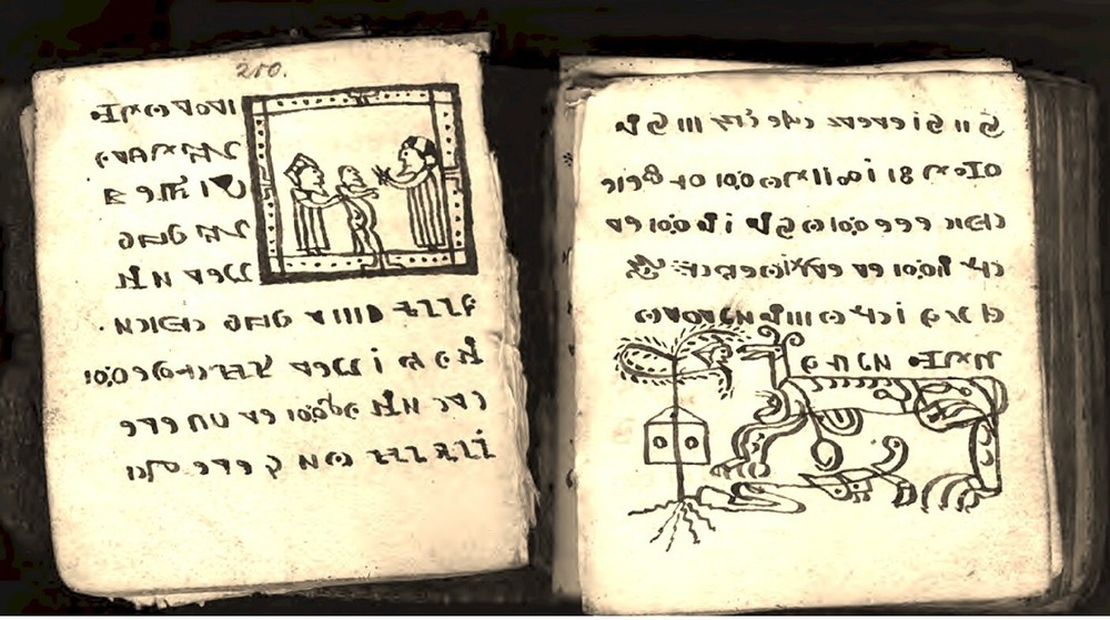 Rohonci Codex - Illustrated Mysterious Manuscript Cryptography Unsolved Code DVD