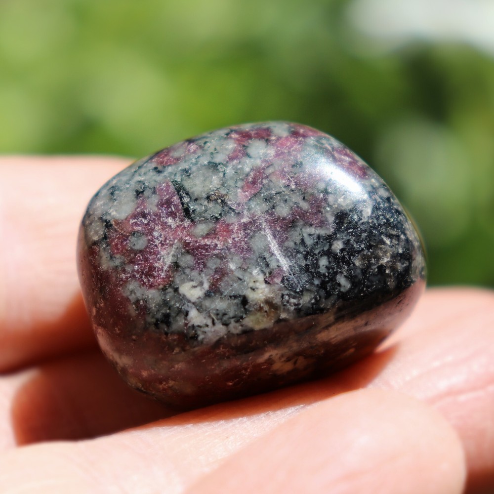 Polished Eudialyte, Fluorescent Mineral (EUD23)