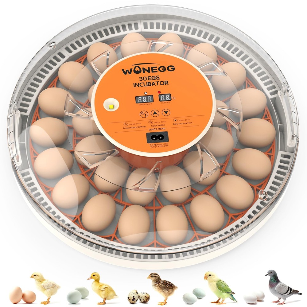 30 Egg Incubators for Hatching Eggs with Automatic Egg Turner, Auto Temperature
