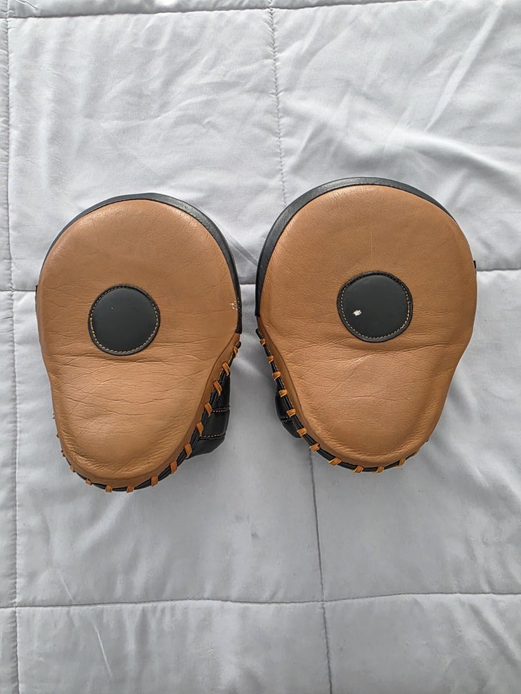 Ringside Classic Leather Focus Mitts