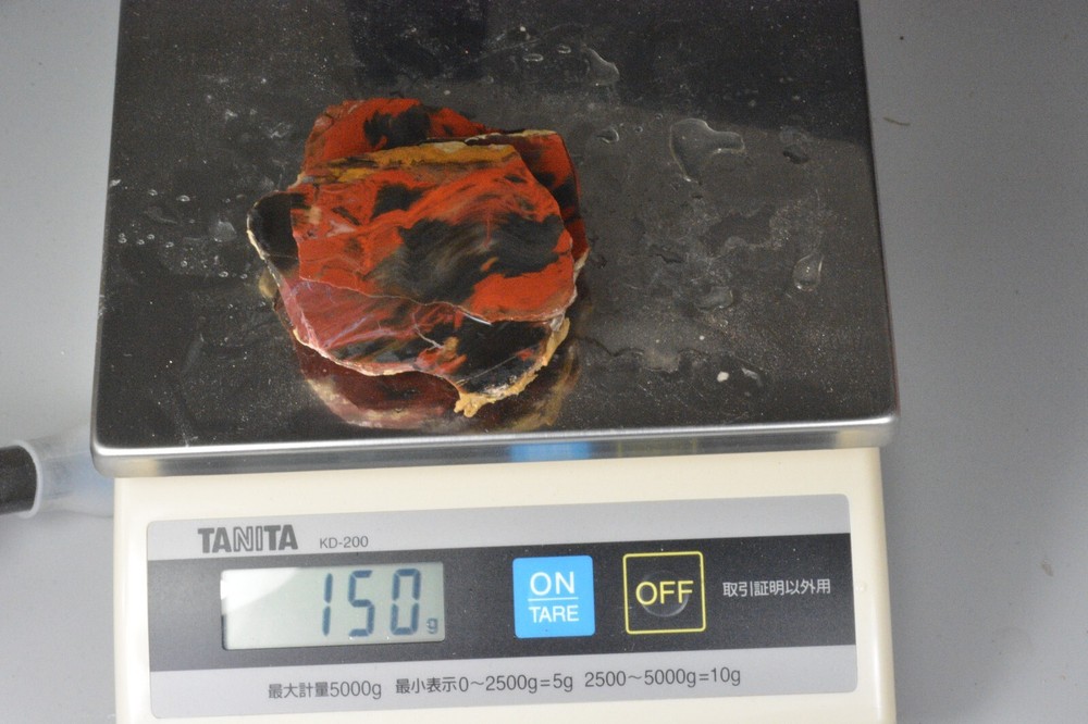 Petrified Wood, Circle Cliffs, Utah, 150 grams