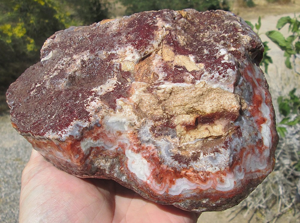CRAZY LACE AGATE ROUGH ~ 6lbs 2ozs