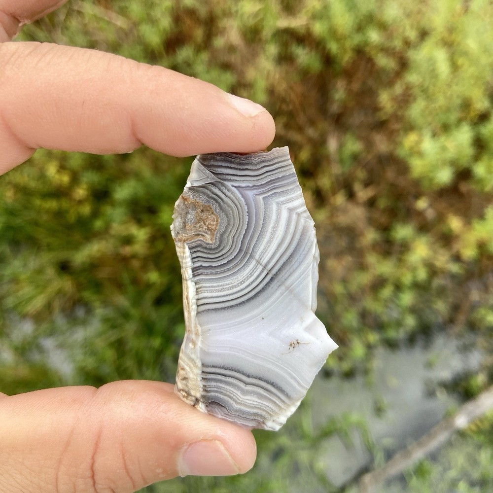 White Fortification Agate Banded Slab