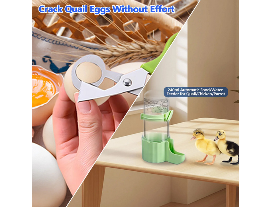 12-Egg Automatic Incubator with Auto Turner & Humidity Control, Poultry Hatching