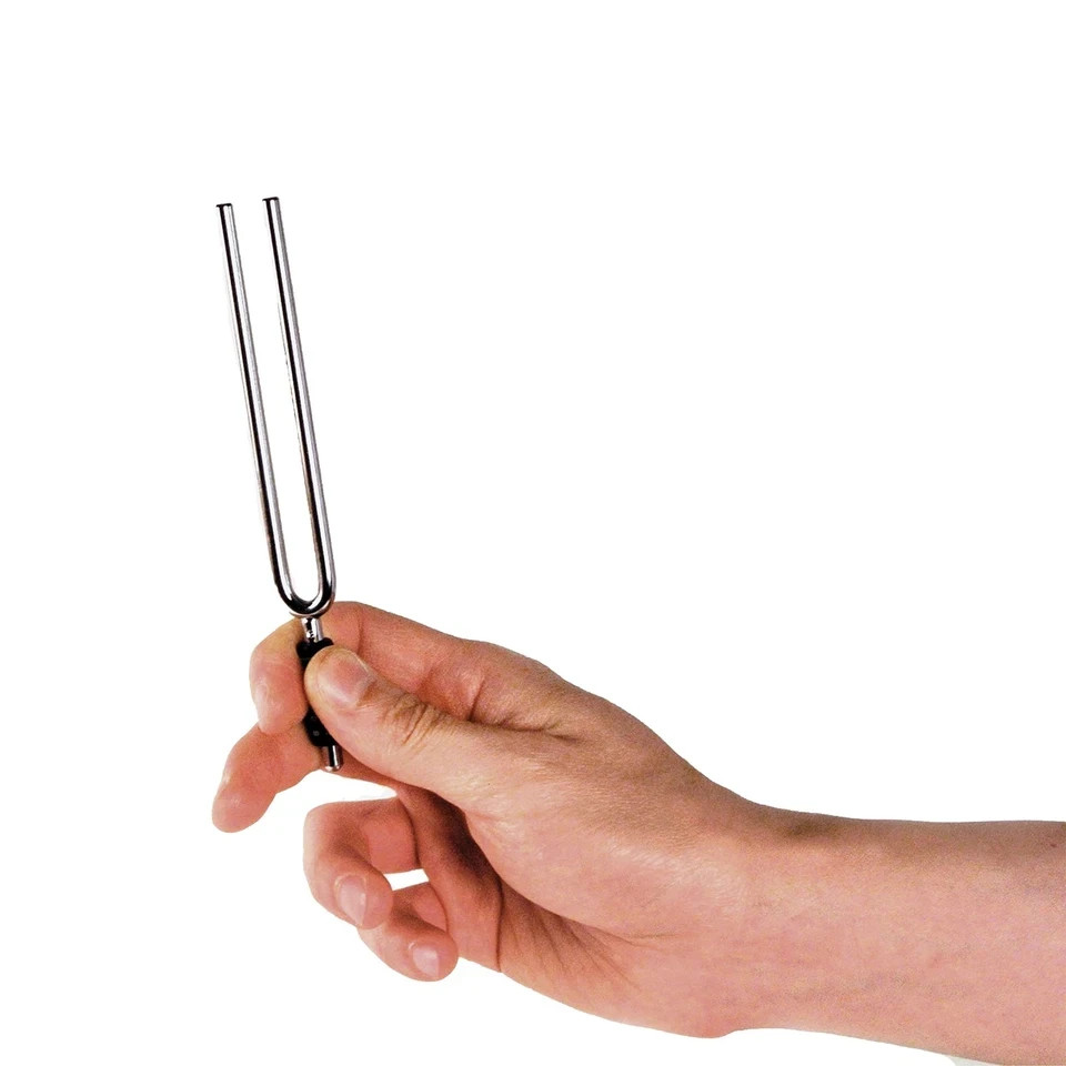 D'Addario Accessories Tuning Fork