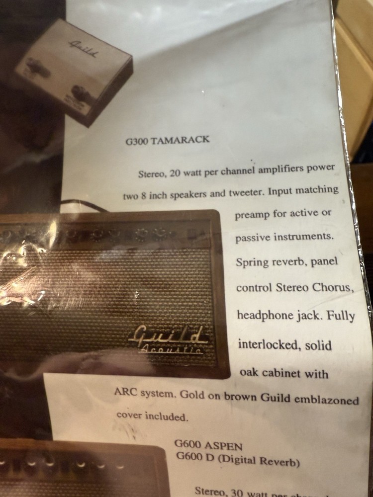 Rare Guild Tamarack Amplifier