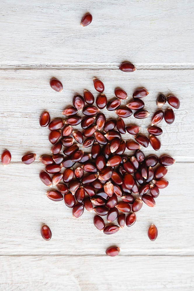 Red Popcorn Kernels - 6 Lbs Bag