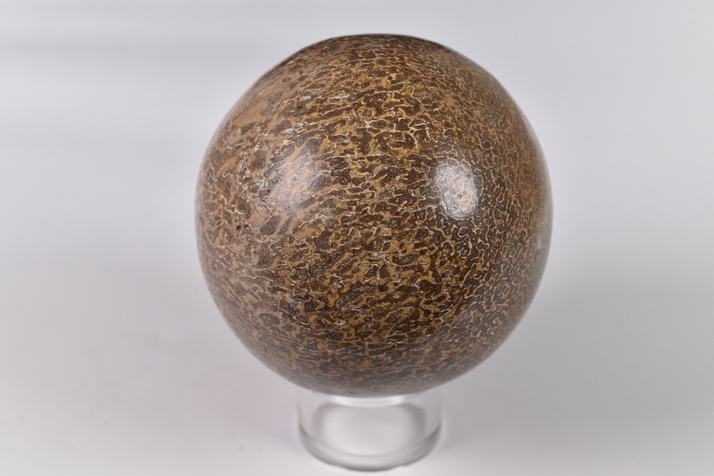 Dinosaur Bone Sphere from Morocco 7.2 cm # 20119