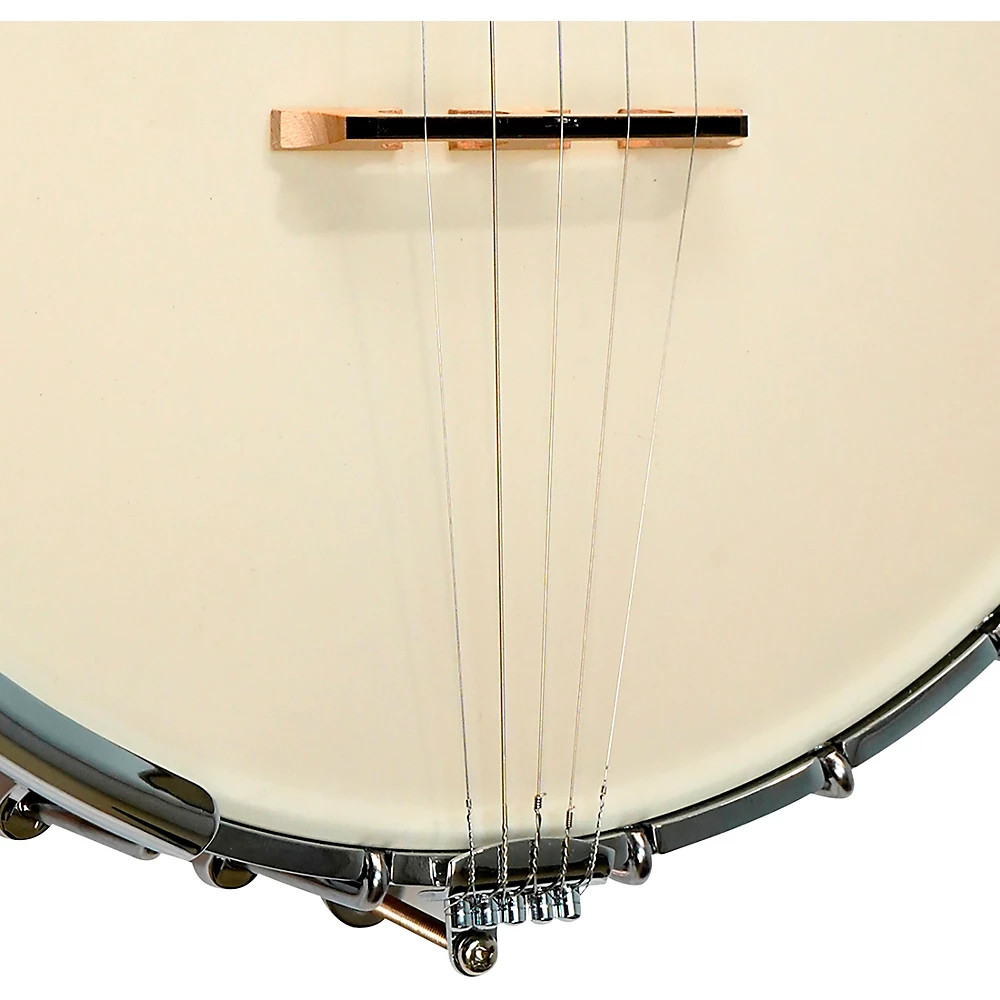 Gold Tone Maple Mountain Openback Banjo Gloss Natural