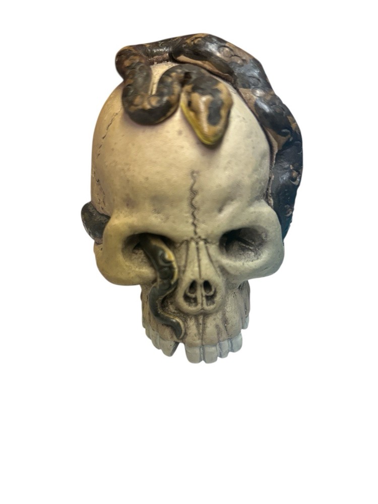 Porcelain Skull with Snake Art