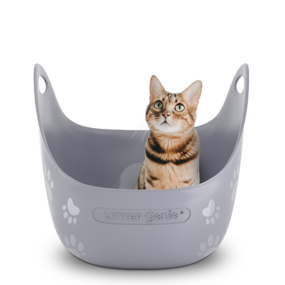 High-Sided Cat Litter Box with Handles, Silver