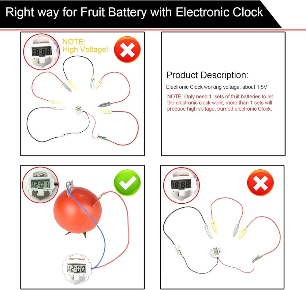 EUDAX Fruit Battery Science Experiment Kit for DIY School Home Teaching Equipmen