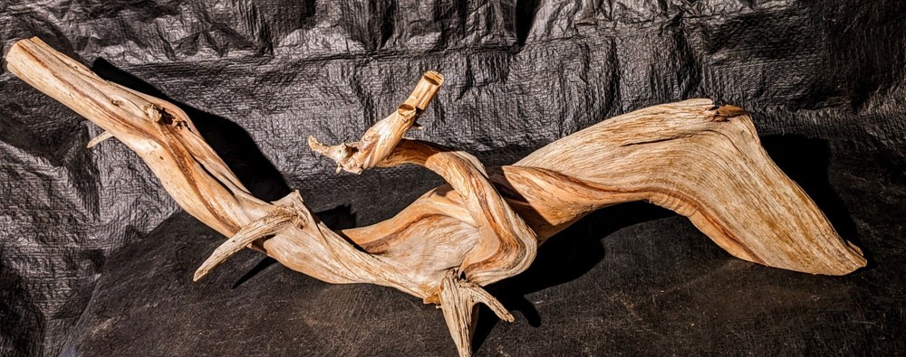 Twisted juniper Branch Aquarium Piece