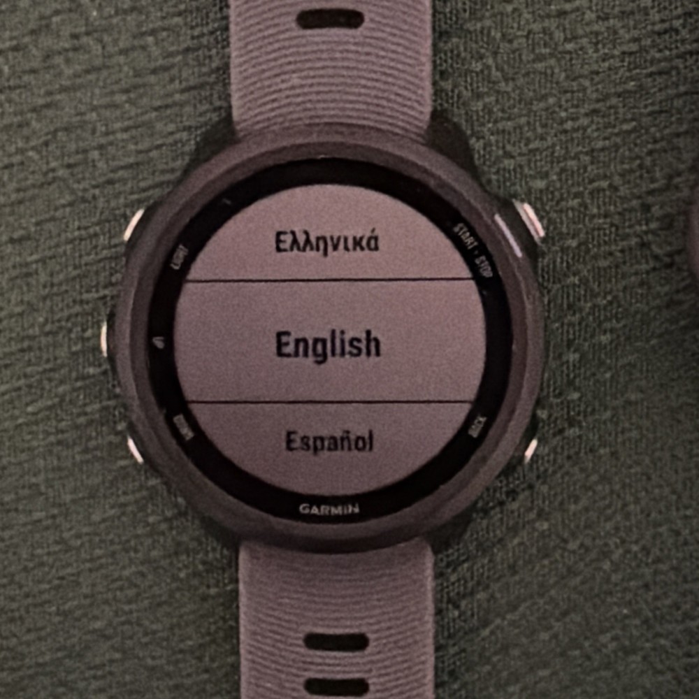 Garmin Forerunner 245 GPS Running Watch - Slate Gray
