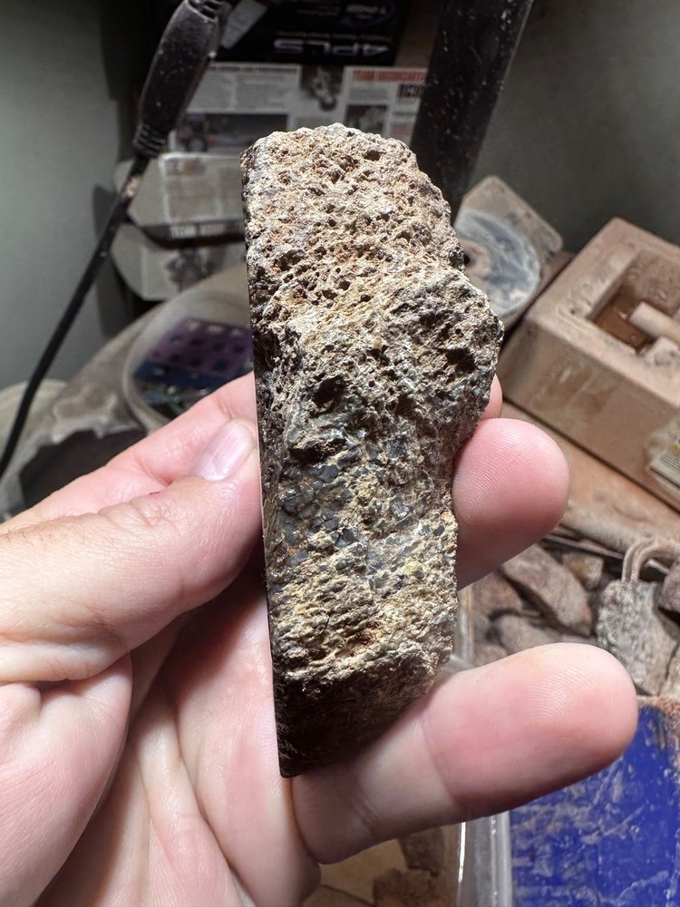 Dinosaur bone rough **hxtled end cut.