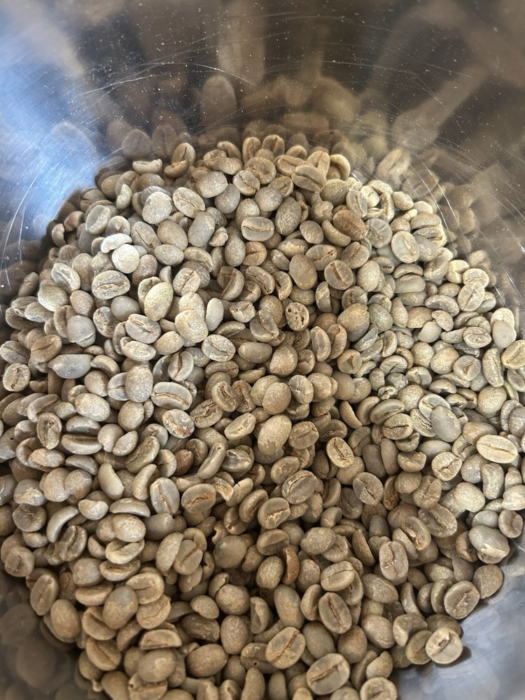 5 Lbs Green Vietnam Robusta Coffee