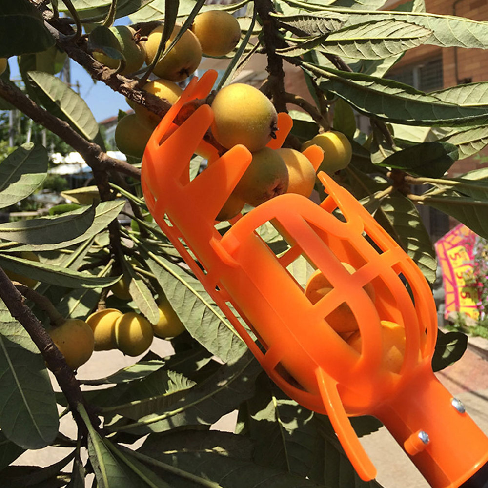 2 Pcs Apple Picker Basket Pole with Fruit Picking Portable Orange