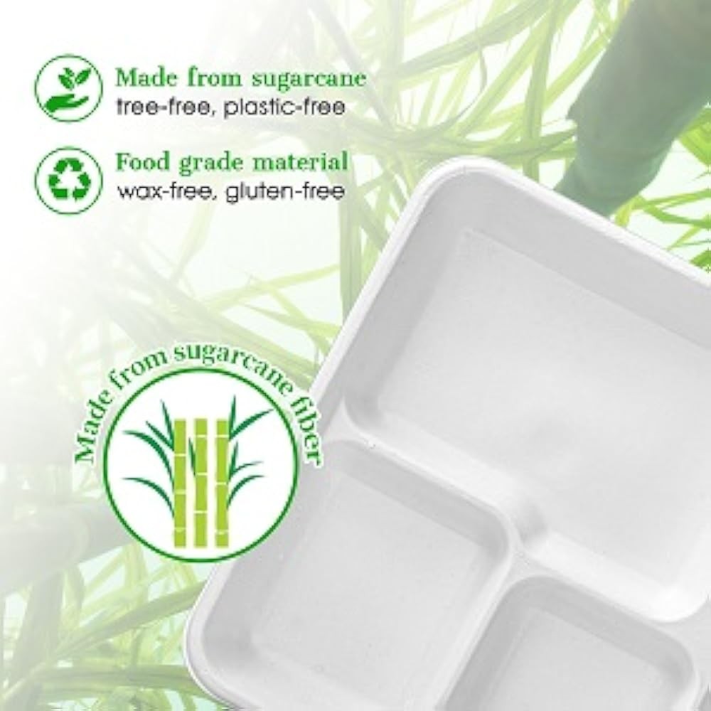 postable 5 partment Plates, Disposable Paper Plates,