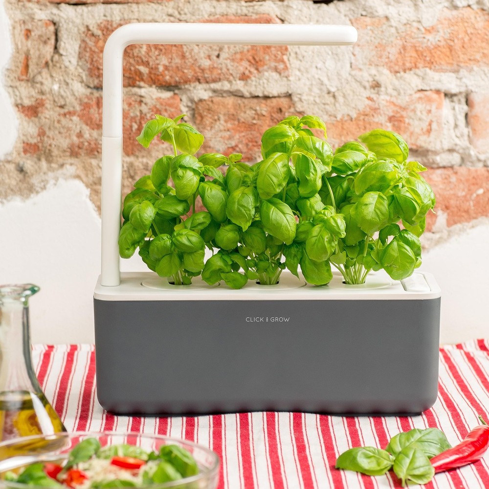 Smart Garden Basil Plant Pods, 3-Pack