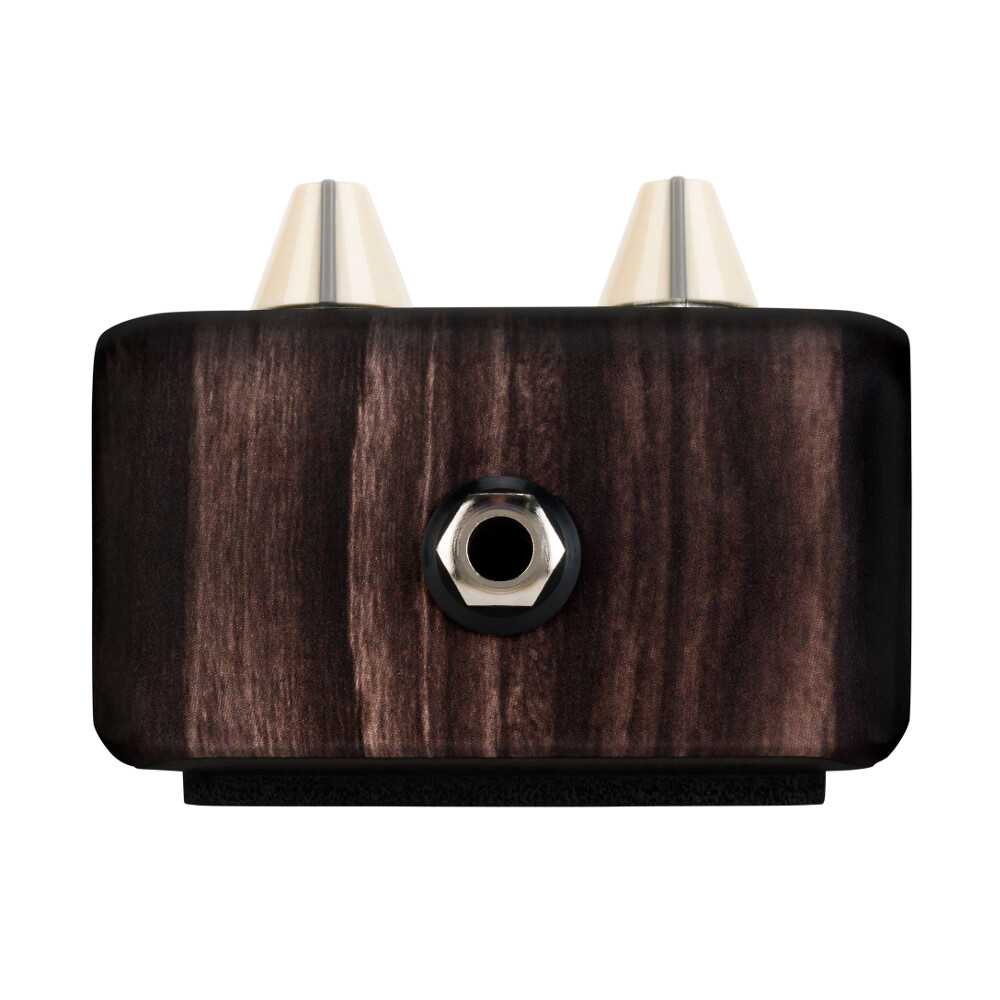 LR Baggs Align Series Acoustic Pedal - Delay