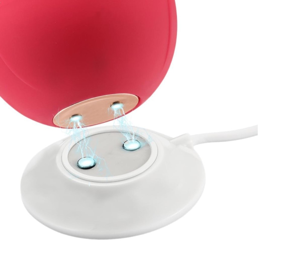 Rose Charger - Magnetic Replacement - Fast Charging USB 1PACK, White