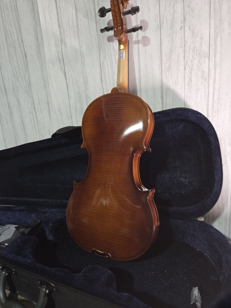Pyle Solid Wood Violin Stringed Instrument-Student Grade Violin w/ Accessory Kit