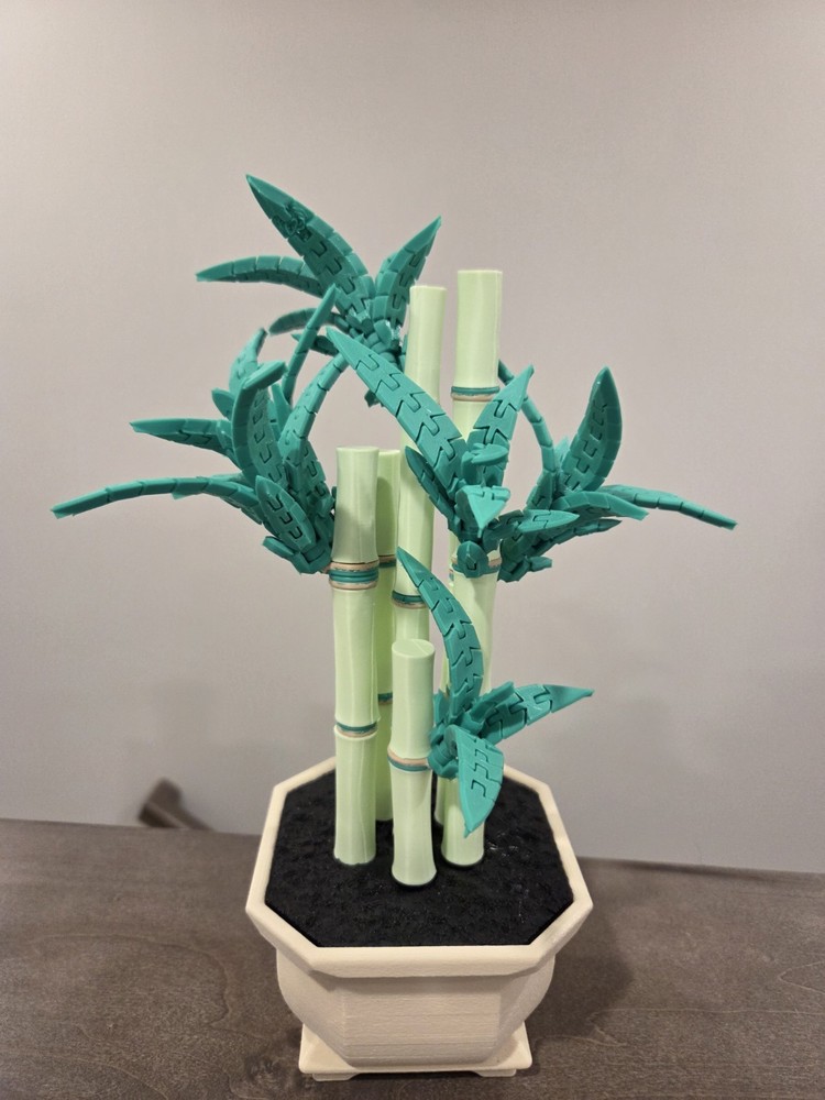 Personalized Lucky Bamboo -FlexiPlants 3D