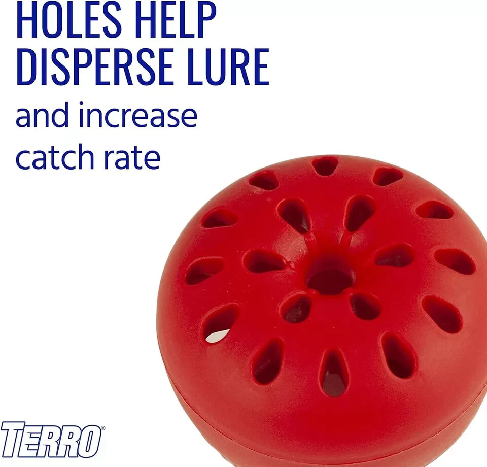 TERRO Non Toxic Ready to Use Indoor Fruit Fly Traps with Bait - 2 Pack