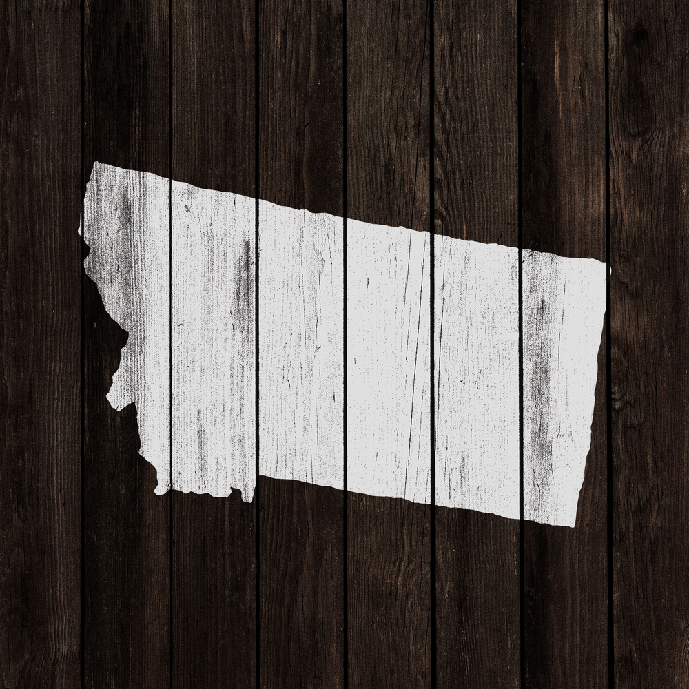 Montana State Stencil - Durable & Reusable Mylar Stencils