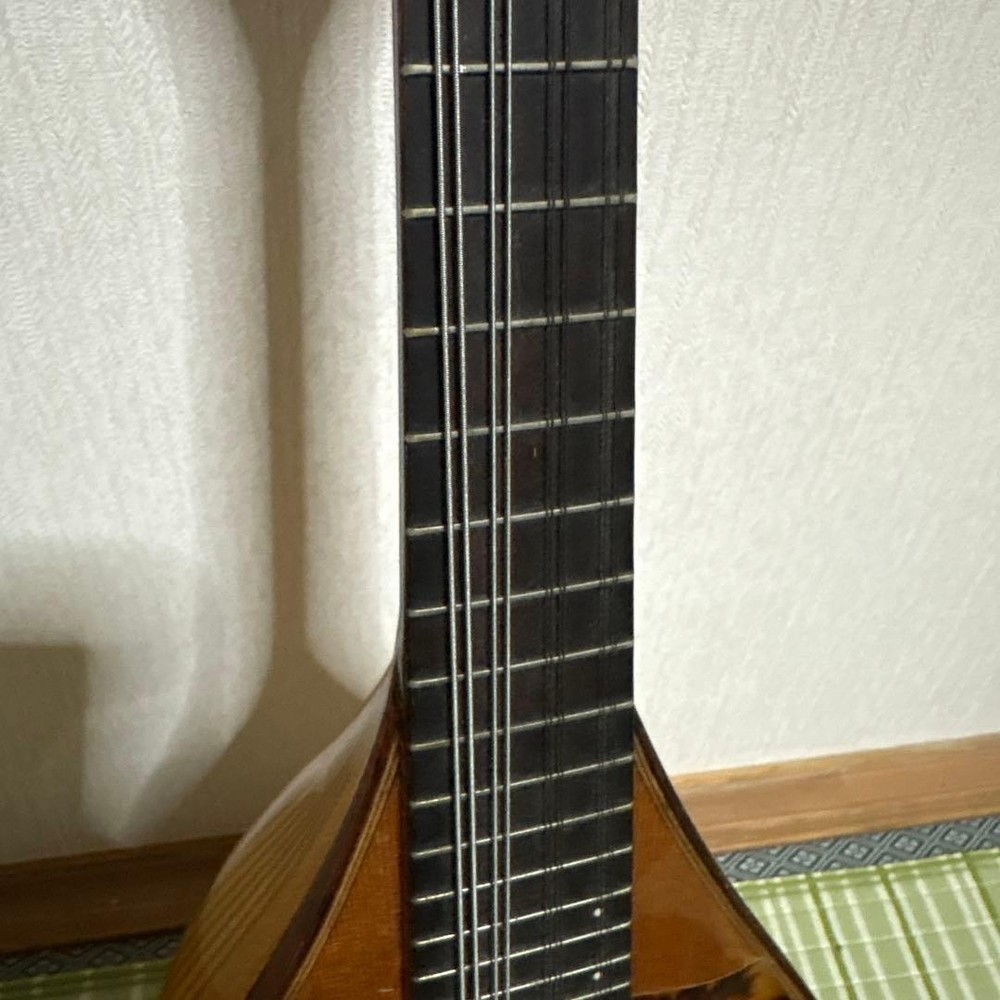 Raffaele Terada Musical Instruments High End Mandolin RM-3 String Guitar