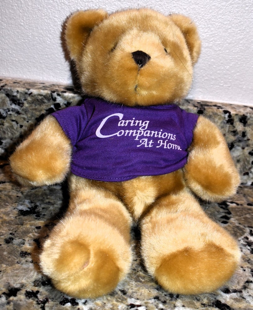 Caring Companion Teddy Bear