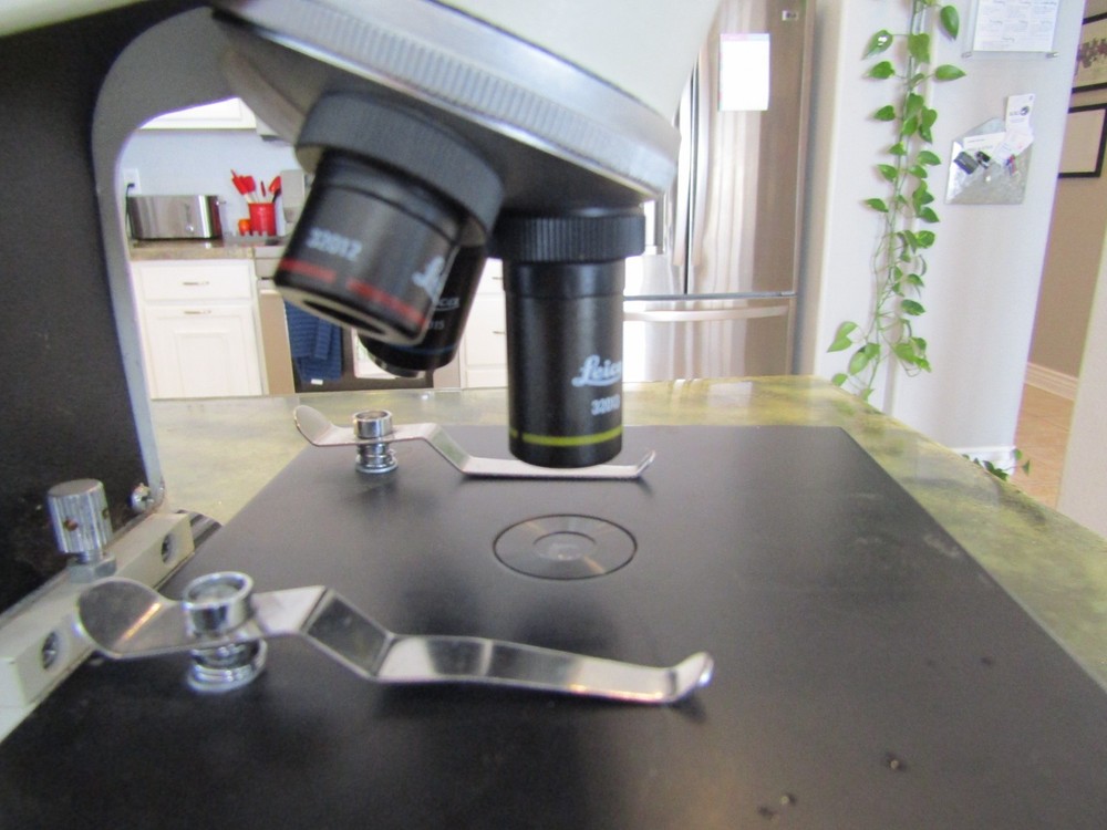 Genuine Leica BF 200 Monocular Compound Built in Illumination Lamp Microscope