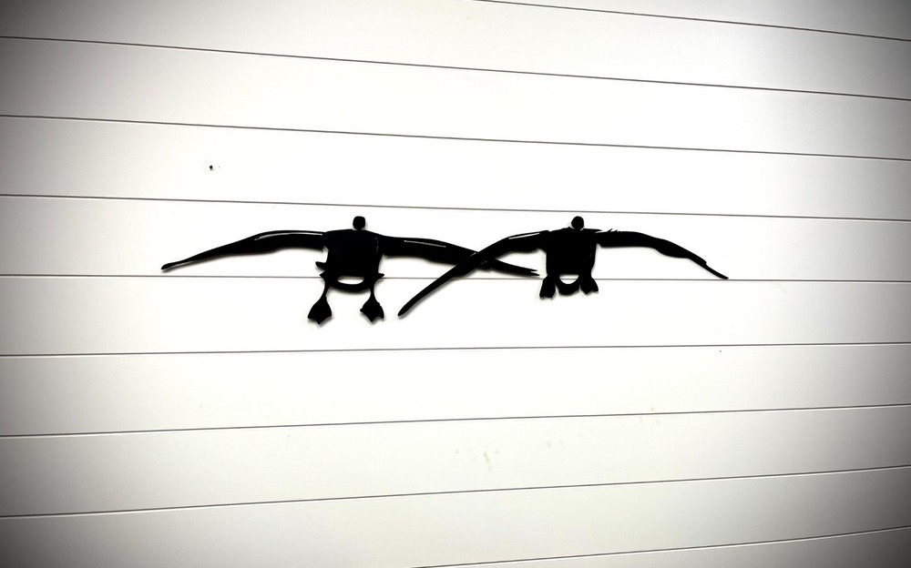 Pair Canada Geese Landing - 36-inches - Black