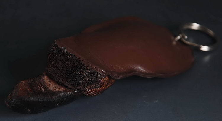 Artificial rearing Ostrich paw Chain