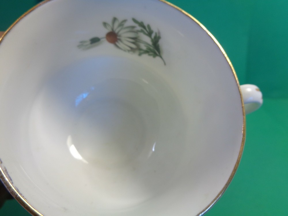 Daisy Pattern Cup & Saucer, Royal Bengal, India (Used)